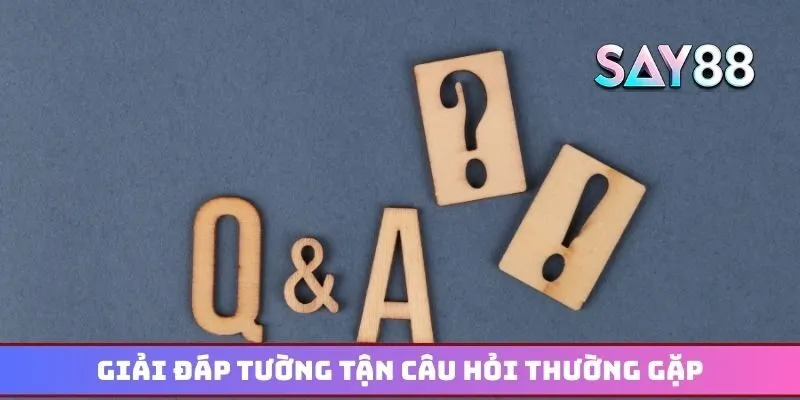 Say88 hỏi đáp