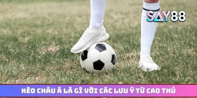 Kèo châu Á là gì với các lưu ý quan trọng từ cao thủ